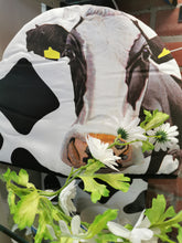 Load image into Gallery viewer, Eoin O'Connor tea cosy