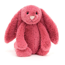 Load image into Gallery viewer, Jellycat - Medium Bashful Cerise Bunny
